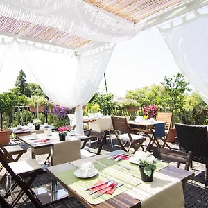 Bed & Breakfast 7, Pisa