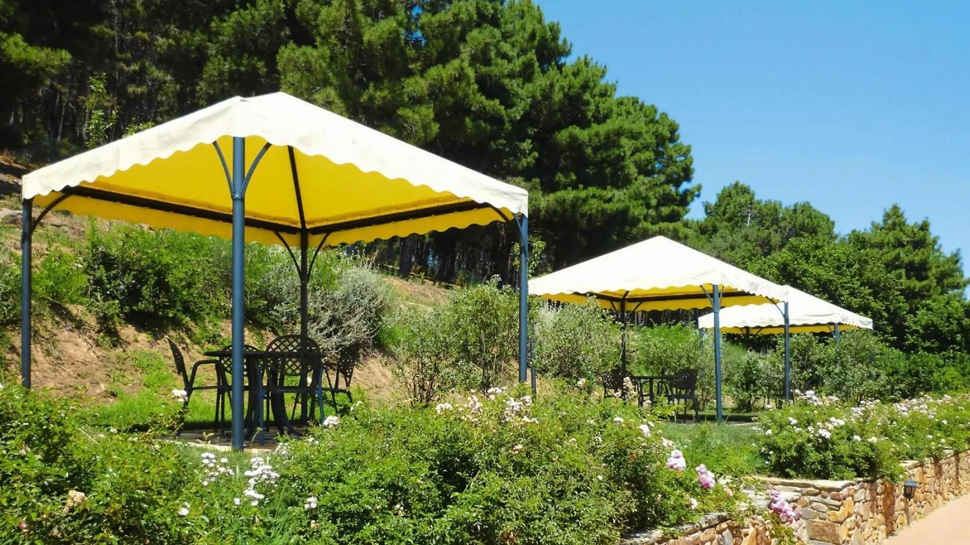 Apartment Agriturismo Cima Alla Serra, Pisa